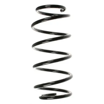 Ressort de suspension SPIDAN 48486
