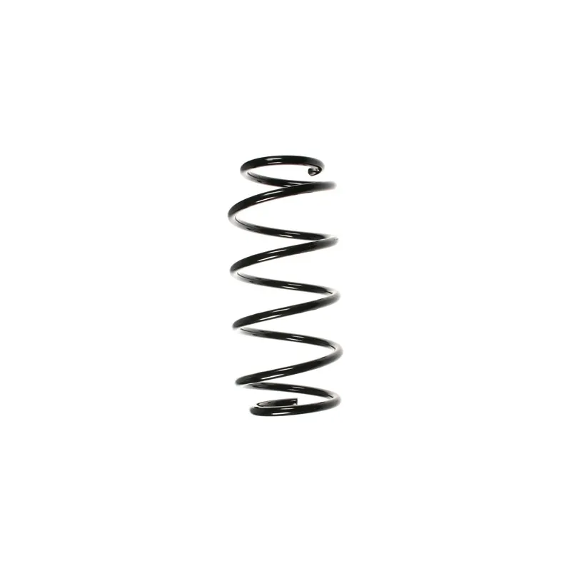 Ressort de suspension SPIDAN 48486