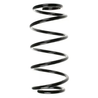 Ressort de suspension SPIDAN 48491