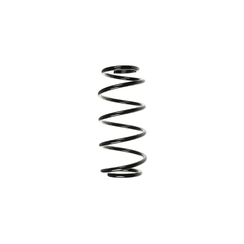 Ressort de suspension SPIDAN 48491
