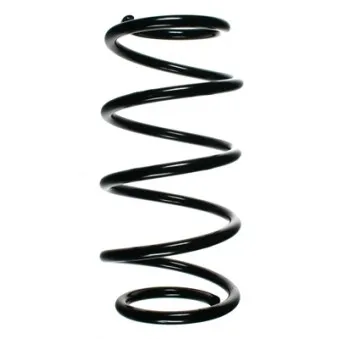 Ressort de suspension SPIDAN 48495