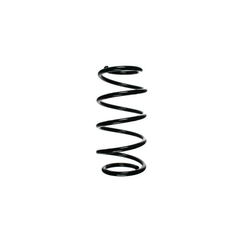 Ressort de suspension SPIDAN 48495