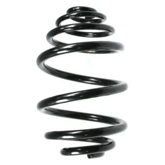 Ressort de suspension SPIDAN 48502