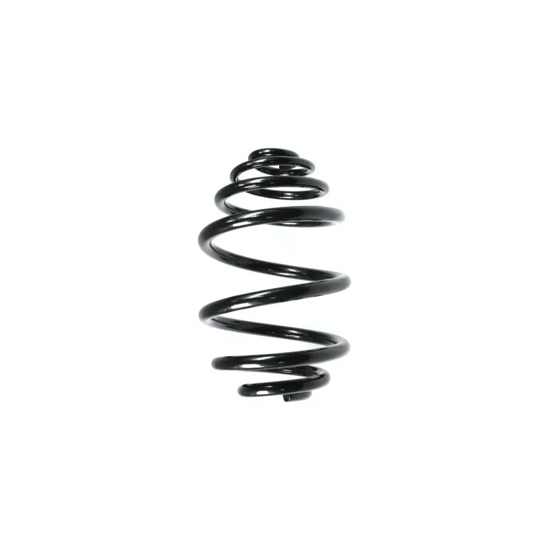 Ressort de suspension SPIDAN 48502