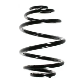 Ressort de suspension SPIDAN 48504