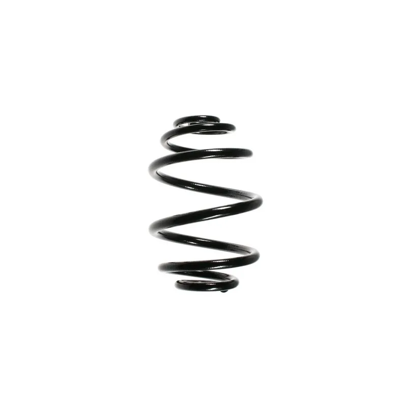 Ressort de suspension SPIDAN 48504