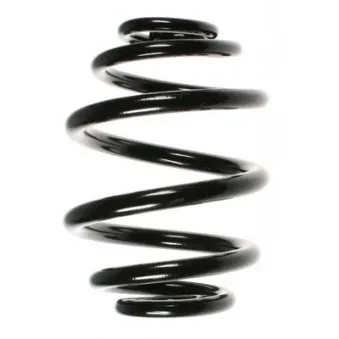 Ressort de suspension SPIDAN 48506