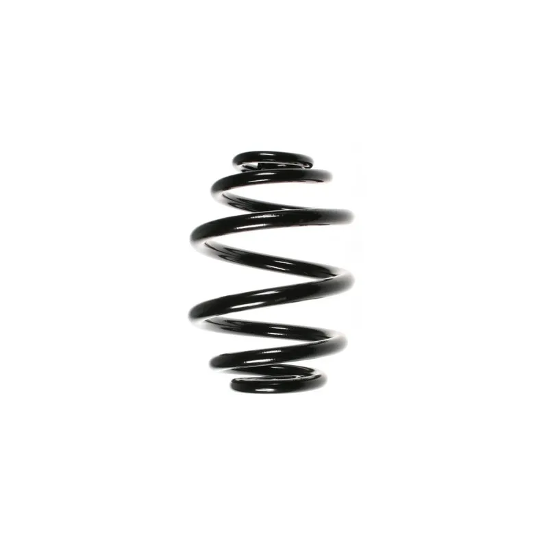 Ressort de suspension SPIDAN 48506