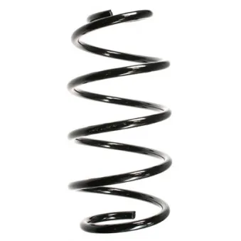 Ressort de suspension SPIDAN 48510