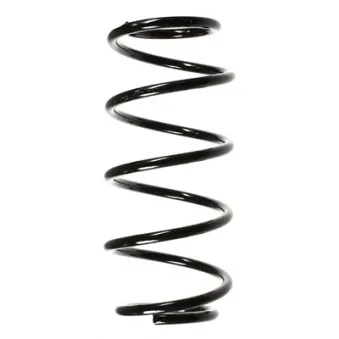 Ressort de suspension SPIDAN 48511