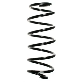 Ressort de suspension SPIDAN 48515