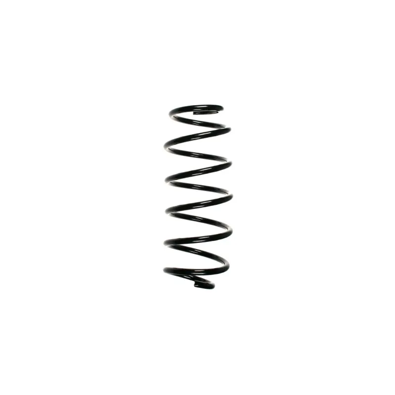 Ressort de suspension SPIDAN 48515