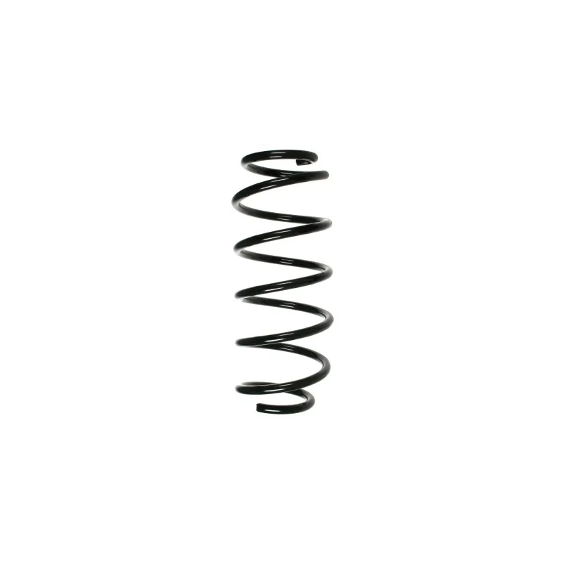 Ressort de suspension SPIDAN 48516