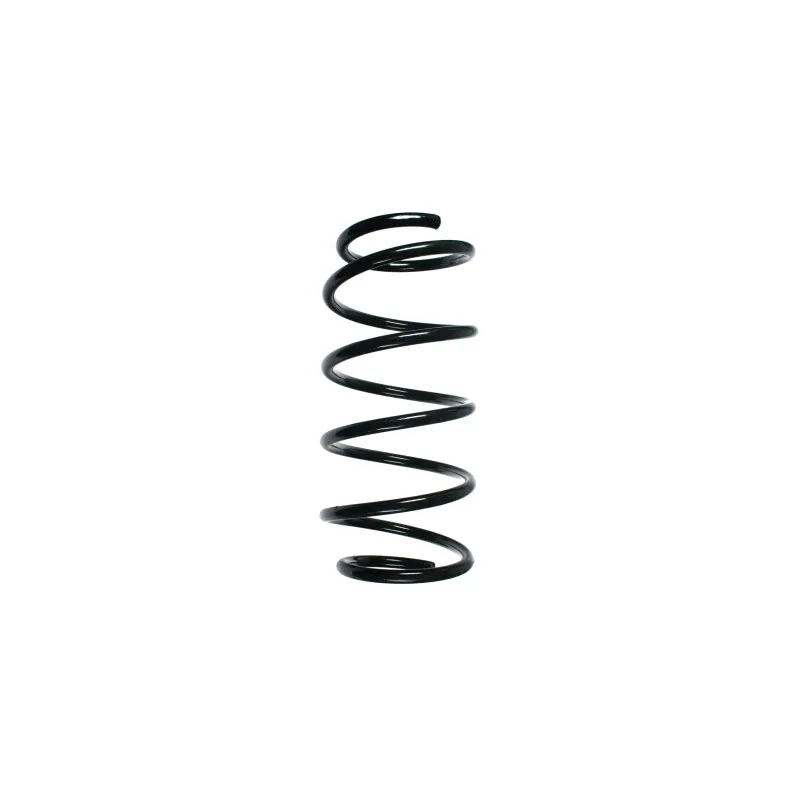 Ressort de suspension SPIDAN 48519