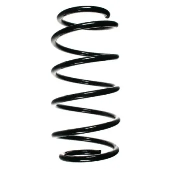 Ressort de suspension SPIDAN 48520