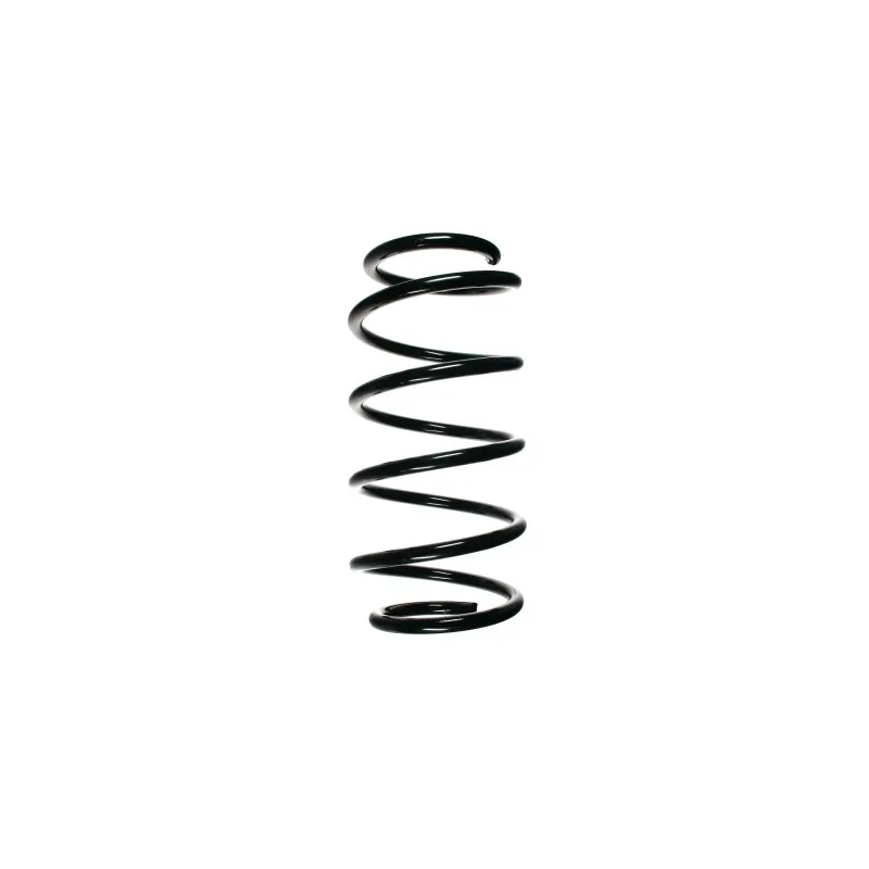 Ressort de suspension SPIDAN 48520