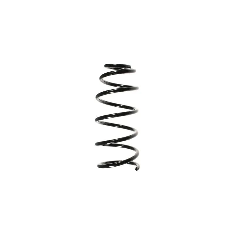 Ressort de suspension SPIDAN 48522