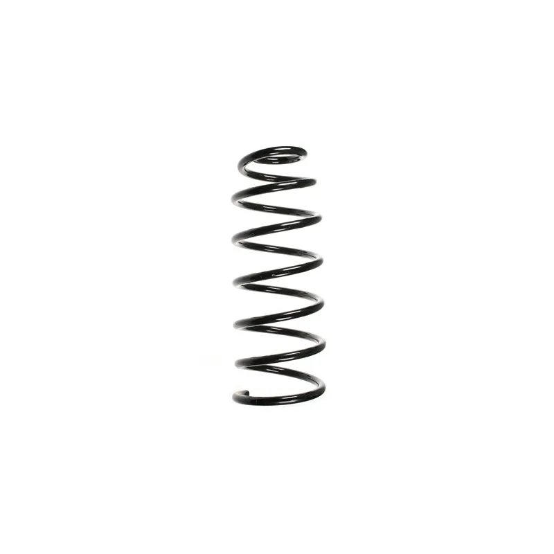 Ressort de suspension SPIDAN 48526