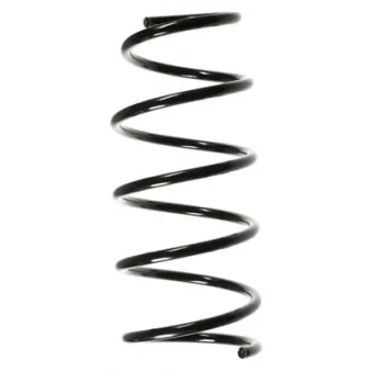 Ressort de suspension SPIDAN 48529