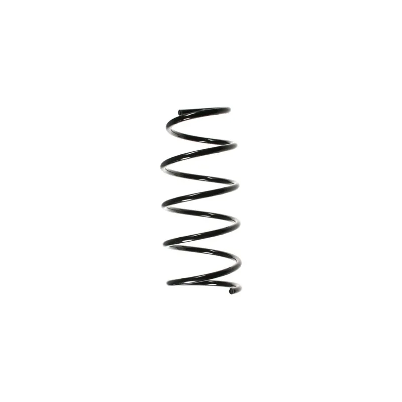 Ressort de suspension SPIDAN 48529