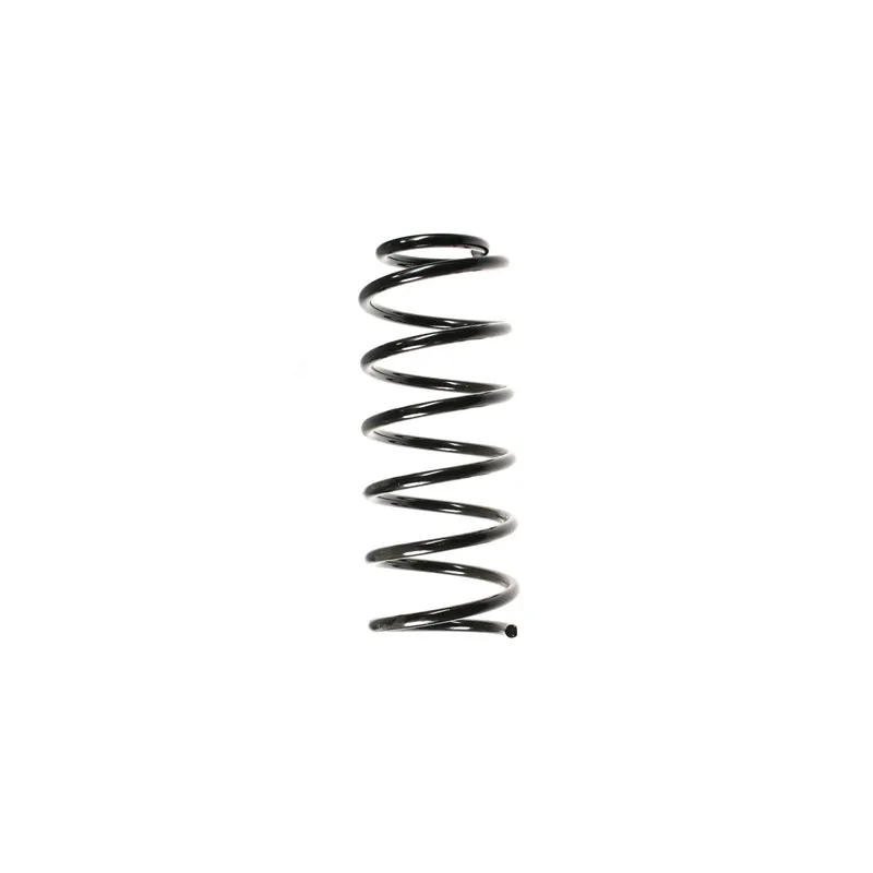 Ressort de suspension SPIDAN 48536