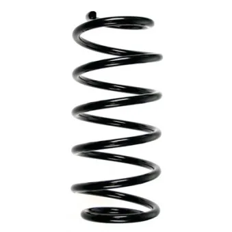Ressort de suspension SPIDAN 48542