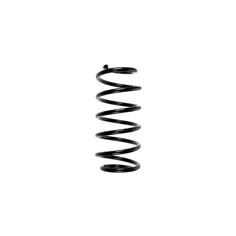 Ressort de suspension SPIDAN 48542