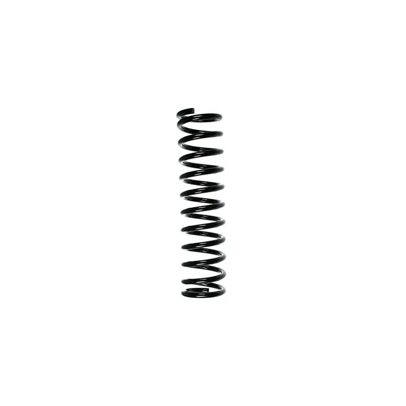 Ressort de suspension SPIDAN 48543