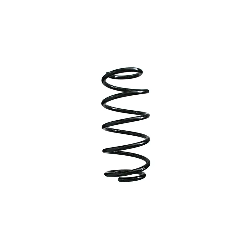 Ressort de suspension SPIDAN 48563