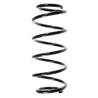 Ressort de suspension SPIDAN 48574