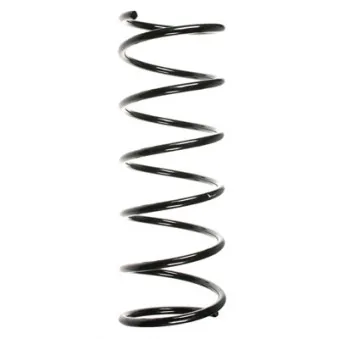 Ressort de suspension SPIDAN 48582