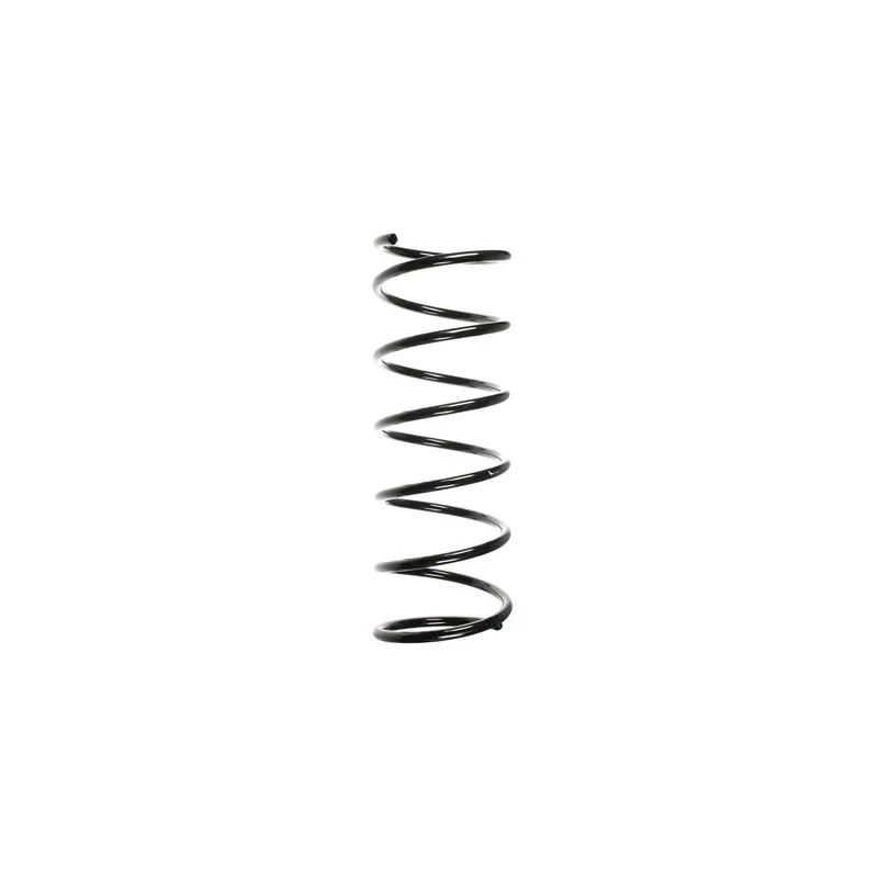 Ressort de suspension SPIDAN 48582