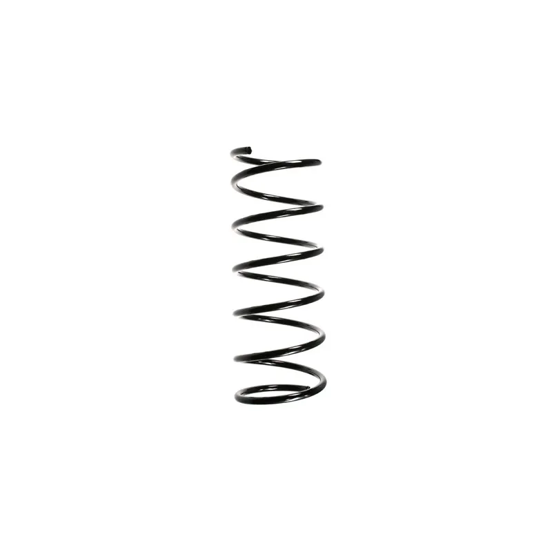 Ressort de suspension SPIDAN 48583