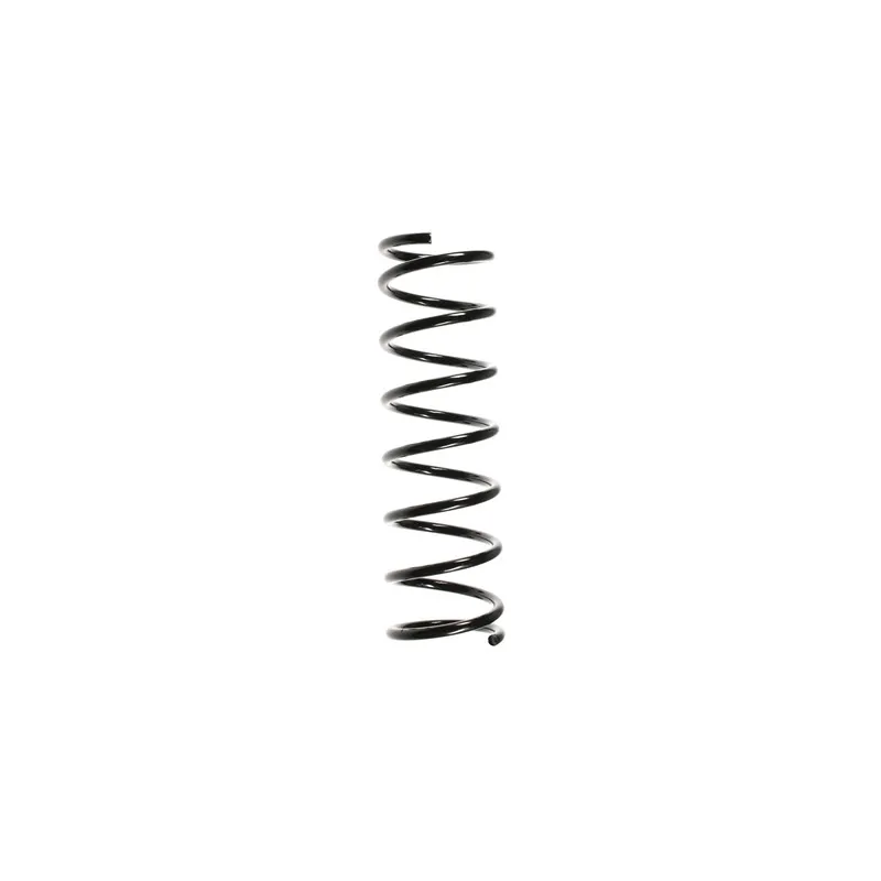 Ressort de suspension SPIDAN 48588