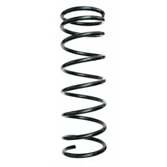 Ressort de suspension SPIDAN 48591