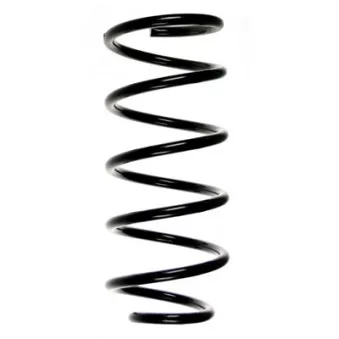 Ressort de suspension SPIDAN 48595