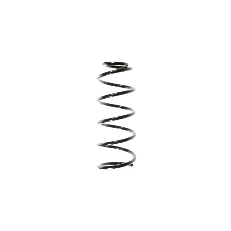 Ressort de suspension SPIDAN 48623