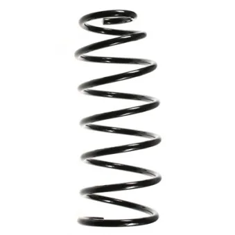 Ressort de suspension SPIDAN 48631
