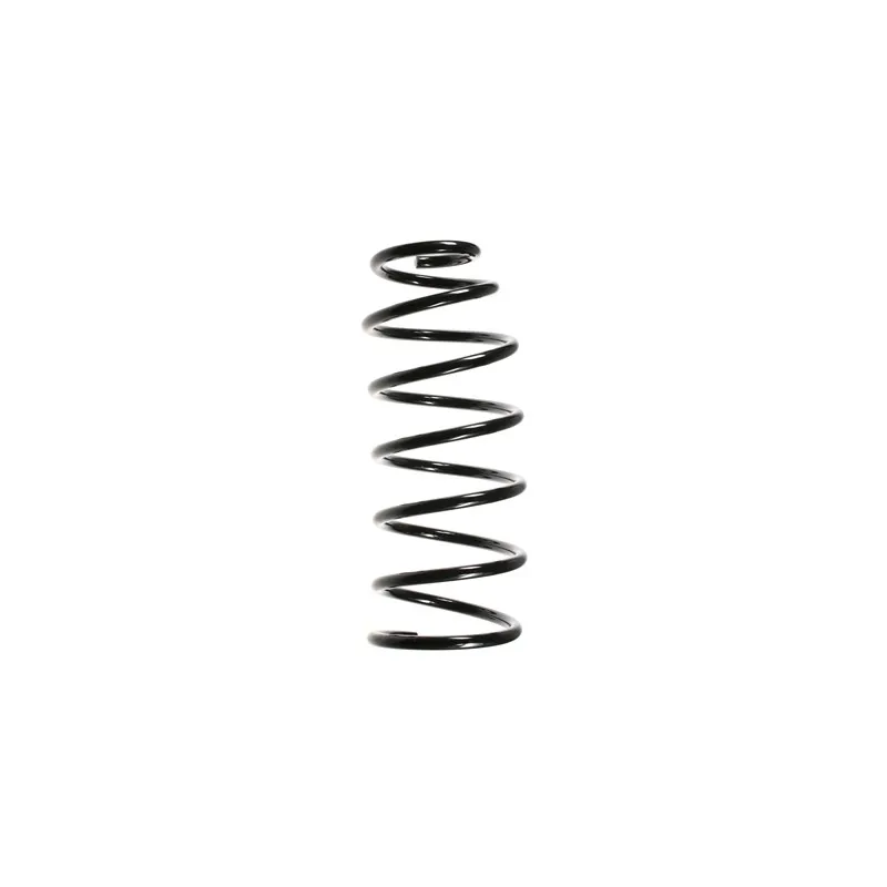 Ressort de suspension SPIDAN 48631