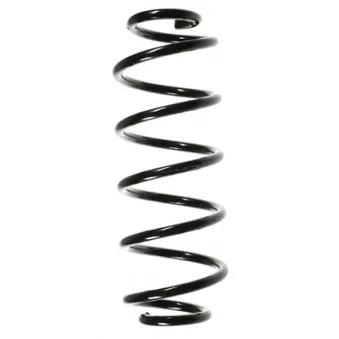 Ressort de suspension SPIDAN 48656