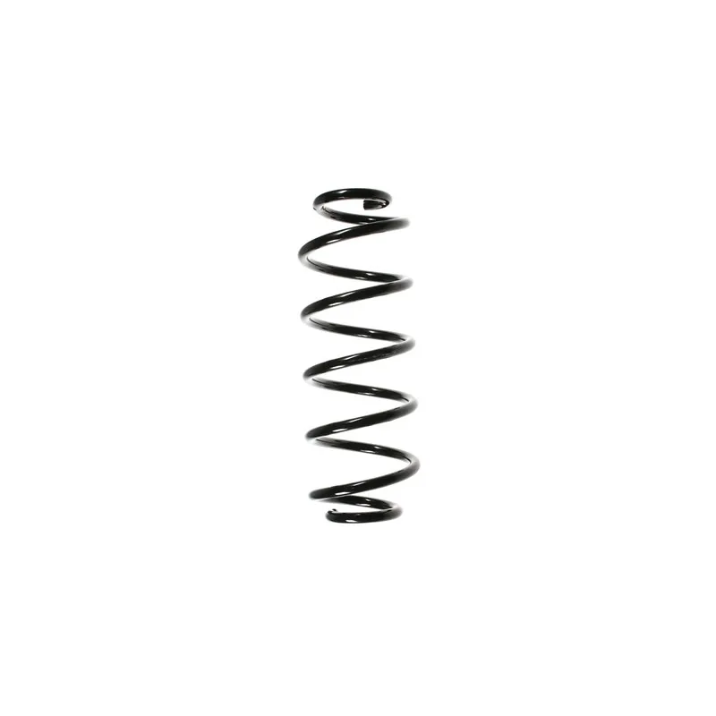 Ressort de suspension SPIDAN 48656