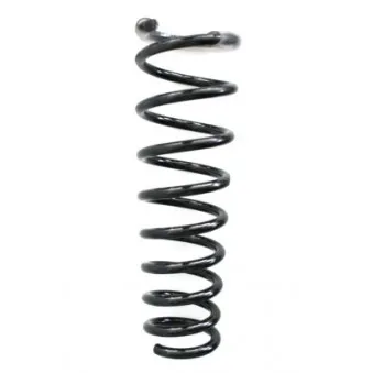 Ressort de suspension SPIDAN 48659