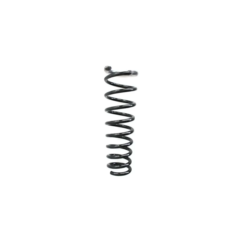 Ressort de suspension SPIDAN 48659