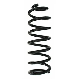 Ressort de suspension SPIDAN 48661