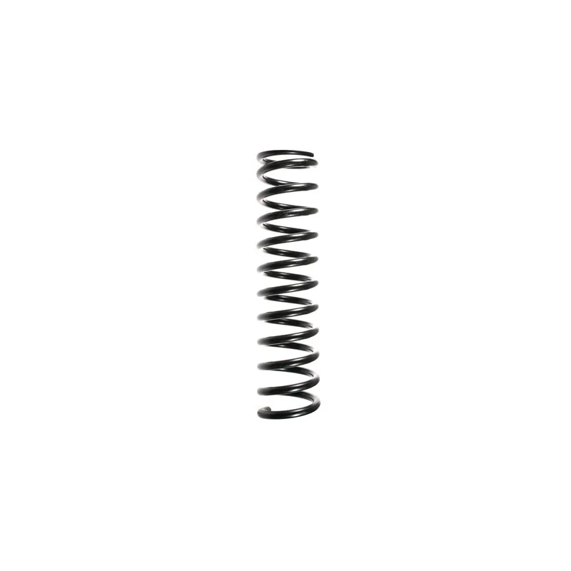 Ressort de suspension SPIDAN 48669