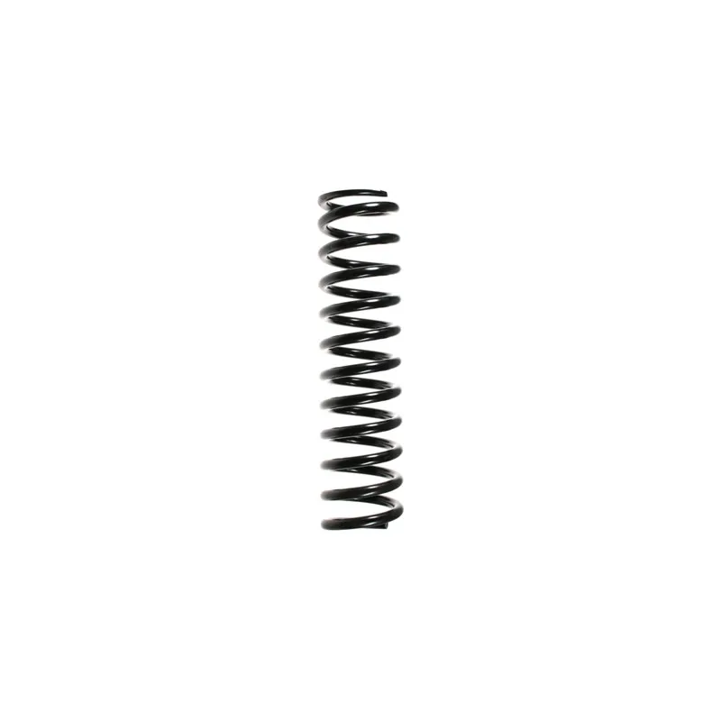 Ressort de suspension SPIDAN 48670