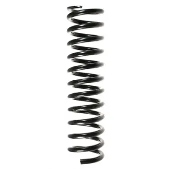 Ressort de suspension SPIDAN 48671
