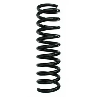 Ressort de suspension SPIDAN 48673