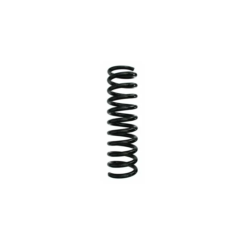 Ressort de suspension SPIDAN 48673