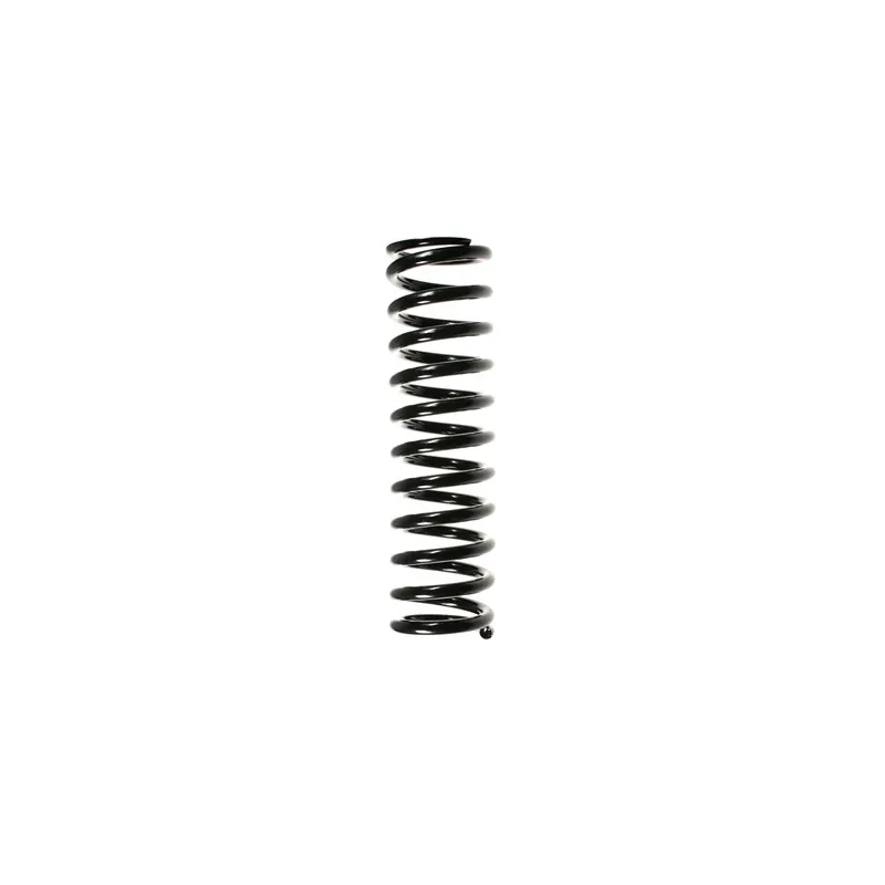 Ressort de suspension SPIDAN 48676